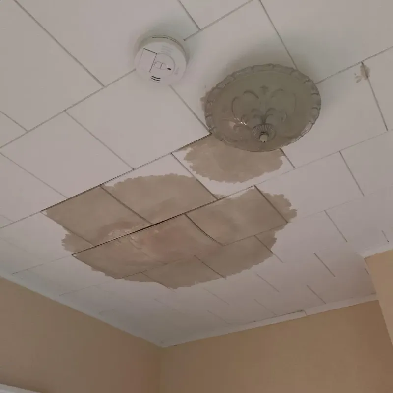 Ceiling Water Damage Repair in Mattituck, NY